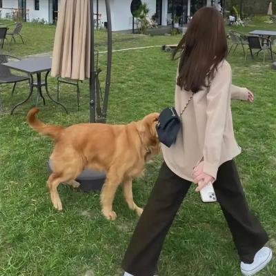 超级鲍勃